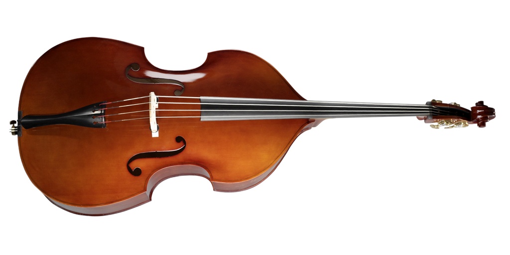 Hofner deals double bass